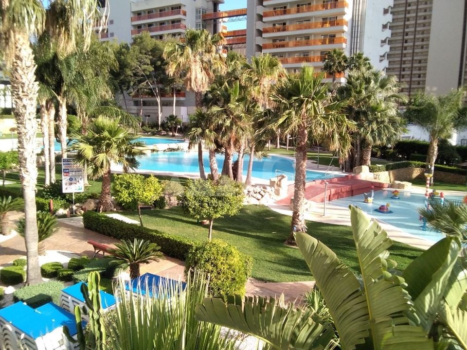 Apartamento de 3 habitaciones en Benidorm - CPP59940 - Foto - 3