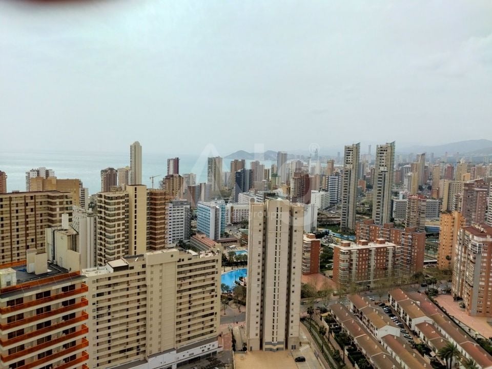 Apartamento de 3 habitaciones en Benidorm - CPP59940 - Foto - 41