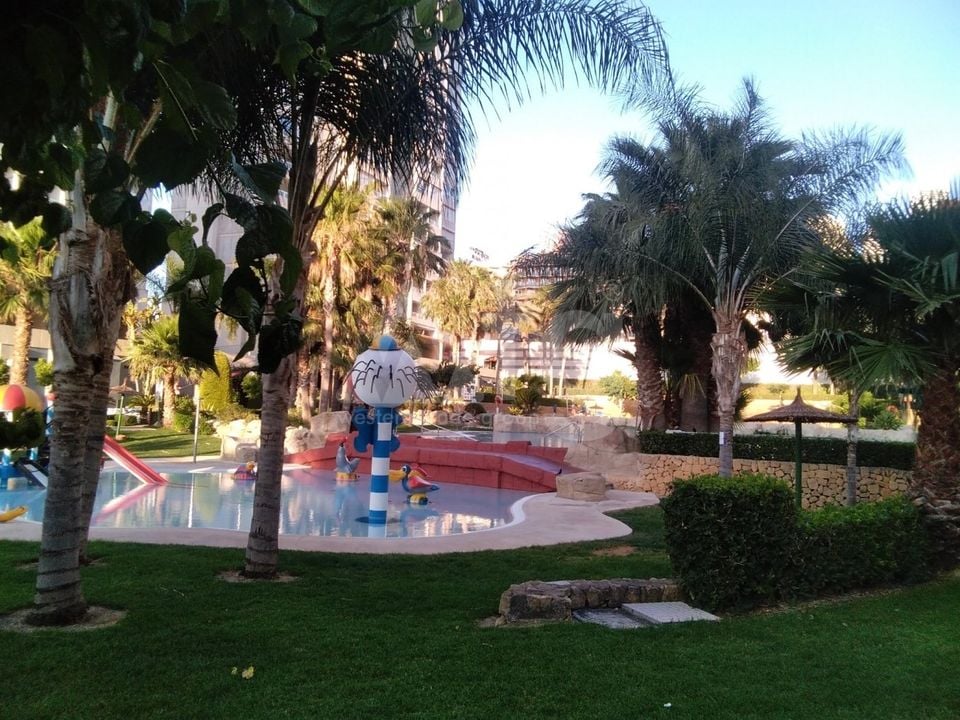 Apartamento de 3 habitaciones en Benidorm - CPP59940 - Foto - 39