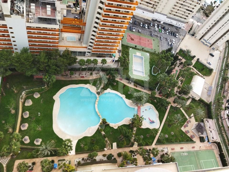 Apartamento de 3 habitaciones en Benidorm - CPP59940 - Foto - 5