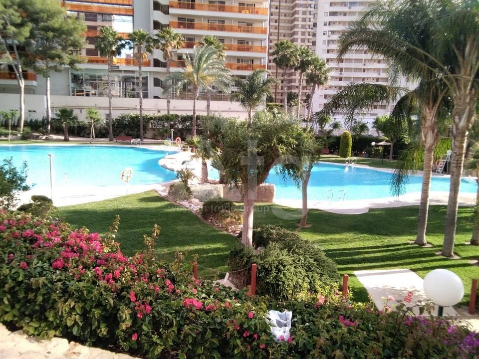 Apartamento de 3 habitaciones en Benidorm - CPP59940 - Foto - 38