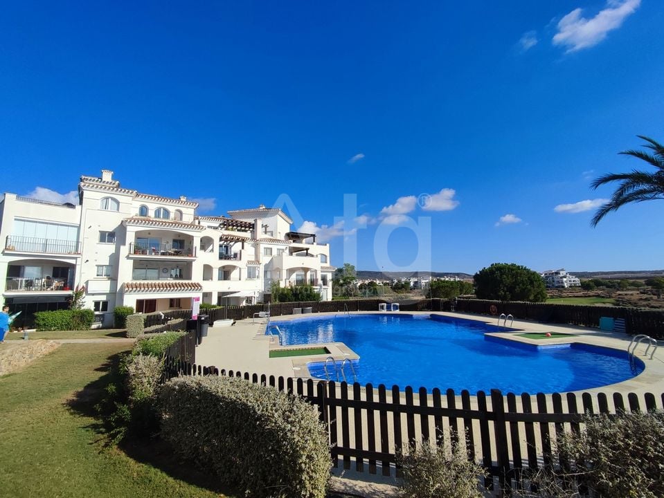 2 bedroom Apartment in Sucina - PSP153351 - Photo - 24