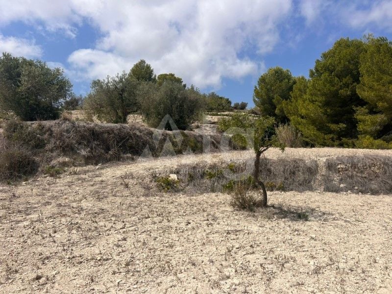 Parcela de  en Benissa- AVE61530 - Foto - 7