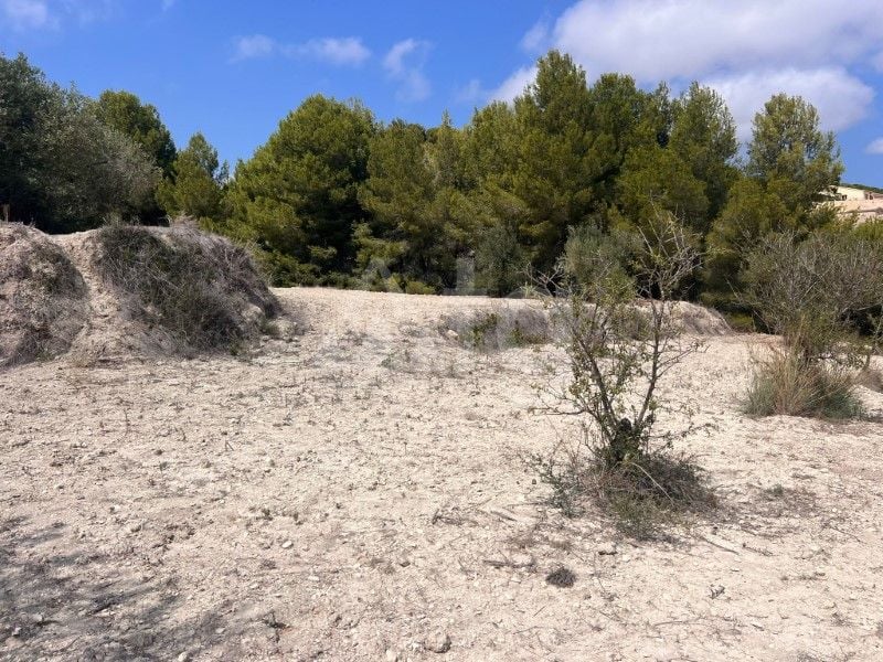 Parcela de  en Benissa- AVE61530 - Foto - 9
