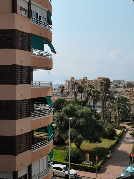 Пентхаус в Ла Мата, 3 спальни - AGI95899 - Фото - 20