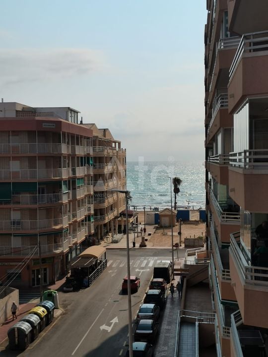Пентхаус в Ла Мата, 3 спальни - AGI95899 - Фото - 22