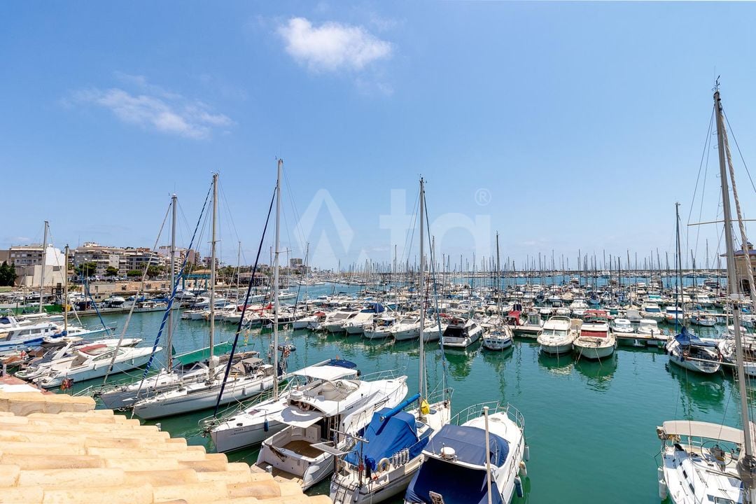 Appartement de 1 chambre à Torrevieja - TIM154727 - Photo - 24