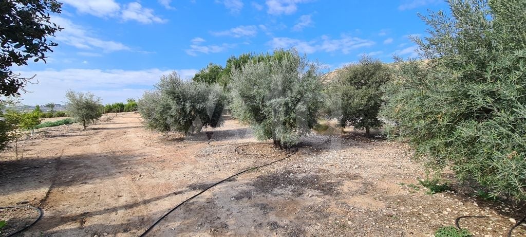 Vilă cu 3 dormitoare în Orihuela - GS71627 - Imagini - 40