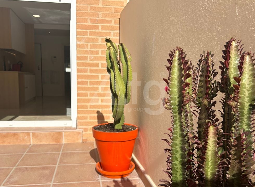 Penthouse w Alicante, 2 sypialnie - VCC50198 - Zdjęcie - 22