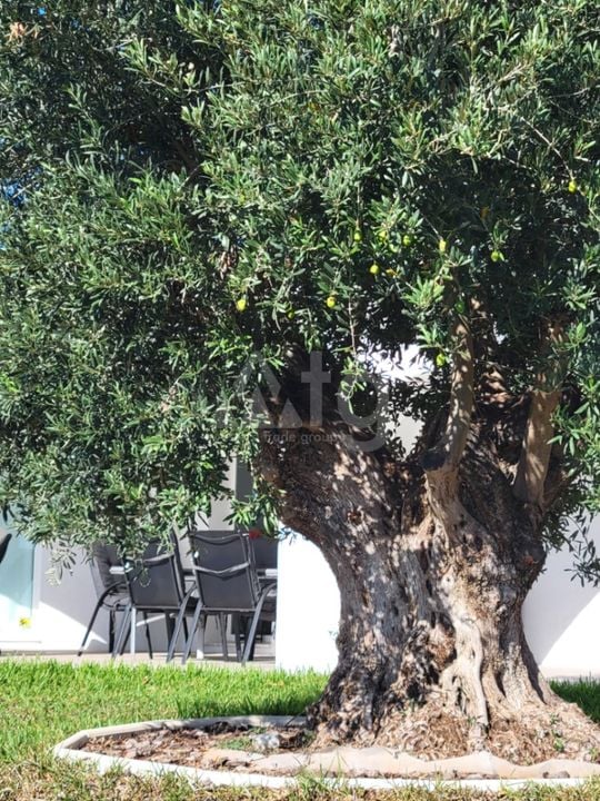 Villa de 3 chambres à Calp - VMD62731 - Photo - 39