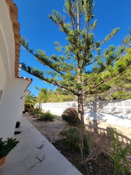Villa de 3 chambres à Calp - VMD62731 - Photo - 34