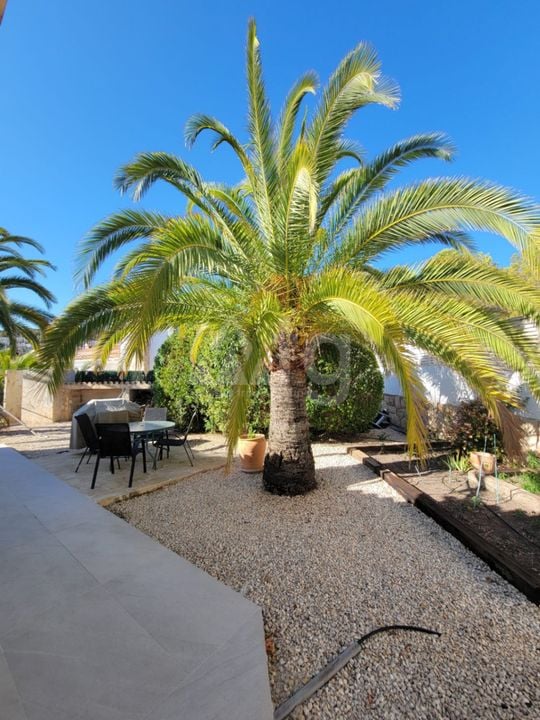 Villa de 3 chambres à Calp - VMD62731 - Photo - 31