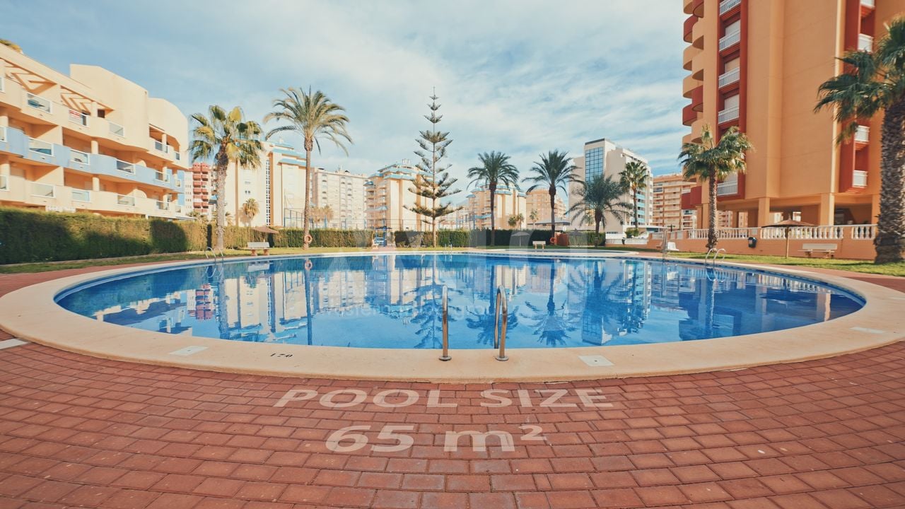 1 bedroom Apartment in La Manga - GRI99165 - Photo - 6