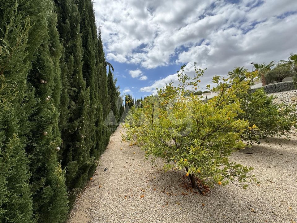 Villa de 3 chambres à Altea - SV67369 - Photo - 29