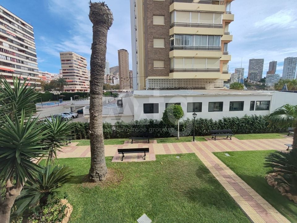 3 bedroom Apartment in Benidorm - CPP68197 - Photo - 19