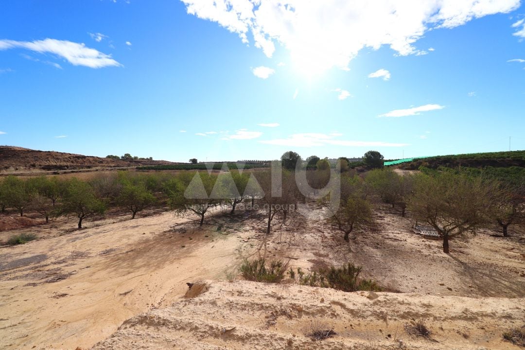  Pozemek v Torremendo- VRE68437 - Foto - 8