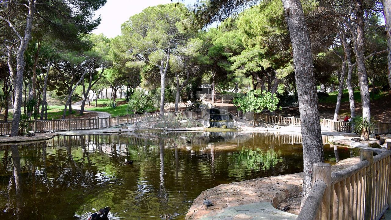  Grundstück in Guardamar del Segura- SV68613 - Foto - 10