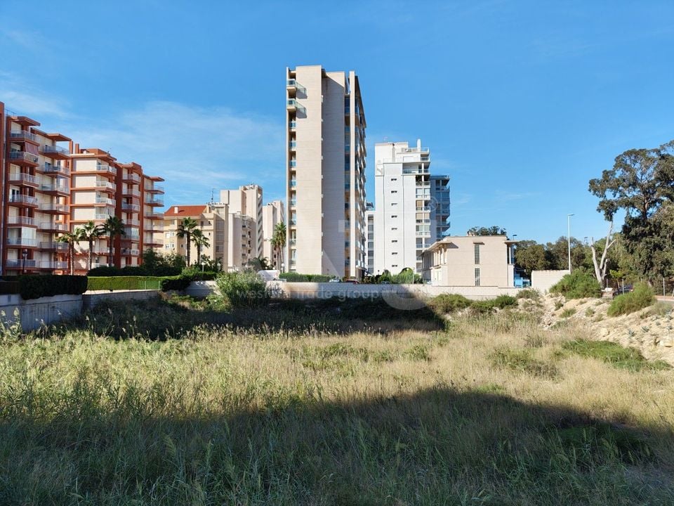  Grundstück in Guardamar del Segura- SV68613 - Foto - 2