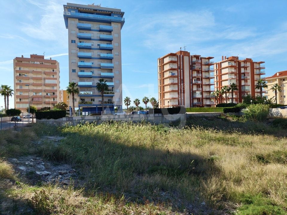  Grundstück in Guardamar del Segura- SV68613 - Foto - 4
