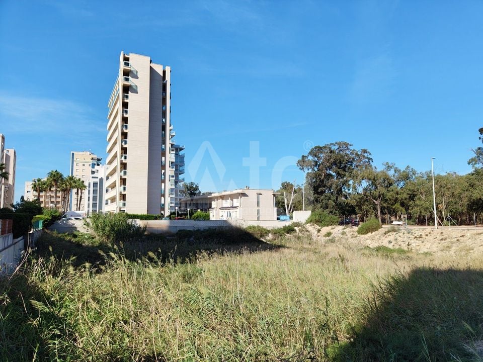  Grundstück in Guardamar del Segura- SV68613 - Foto - 6