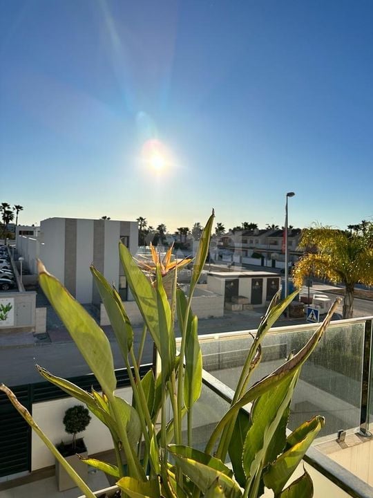 3 bedroom Villa in Ciudad Quesada - SHL69385 - Photo - 18