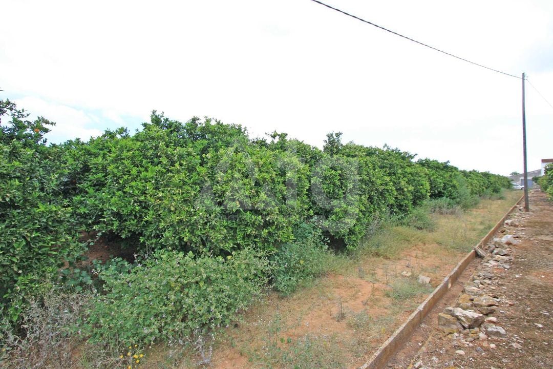  Pozemek v Denia- PGP70368 - Foto - 3
