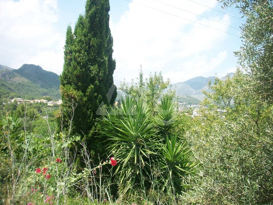  Pozemek v Orba- PGP70369 - Foto - 2