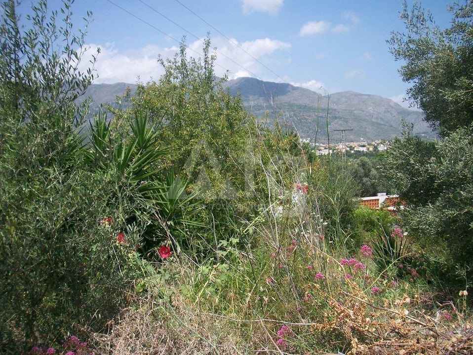  Pozemek v Orba- PGP70369 - Foto - 5