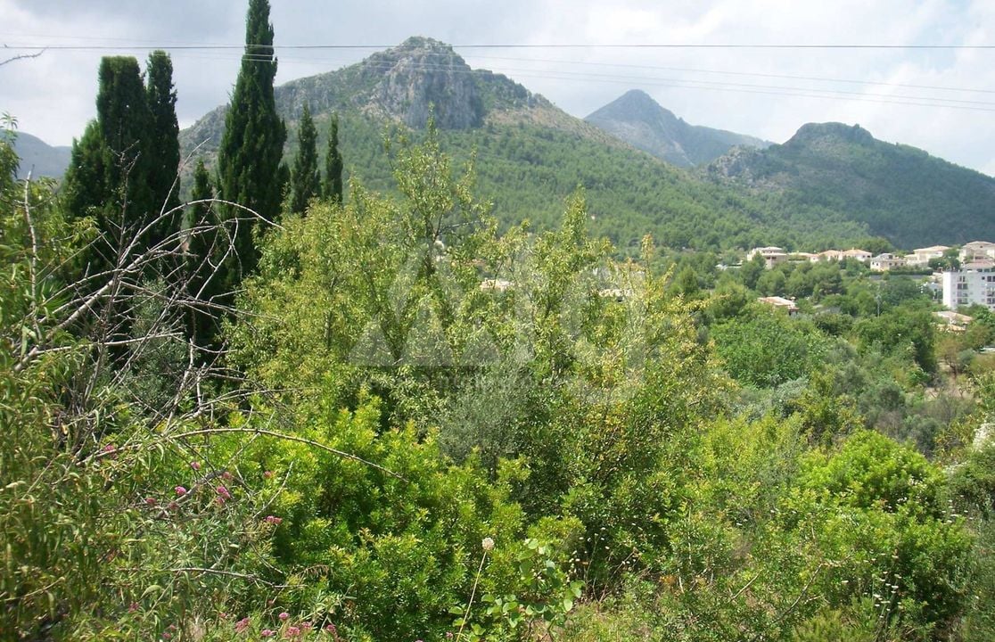  Pozemek v Orba- PGP70369 - Foto - 1