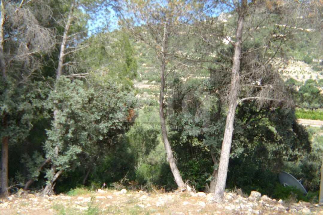  Grundstück in Alcalalí- PGP70400 - Foto - 7