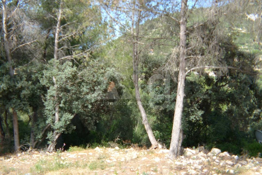  Grundstück in Alcalalí- PGP70400 - Foto - 6