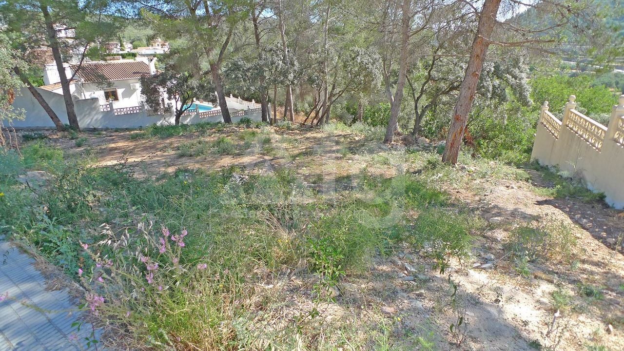  Grundstück in Alcalalí- PGP70400 - Foto - 3