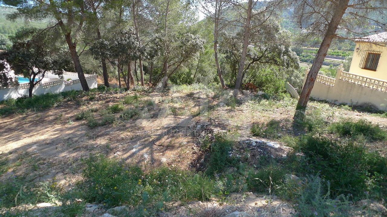  Grundstück in Alcalalí- PGP70400 - Foto - 2