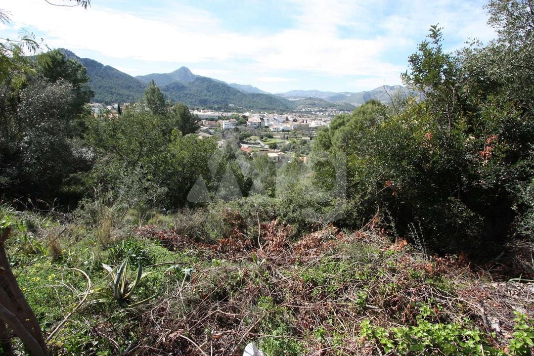  Pozemek v Orba- PGP70403 - Foto - 1