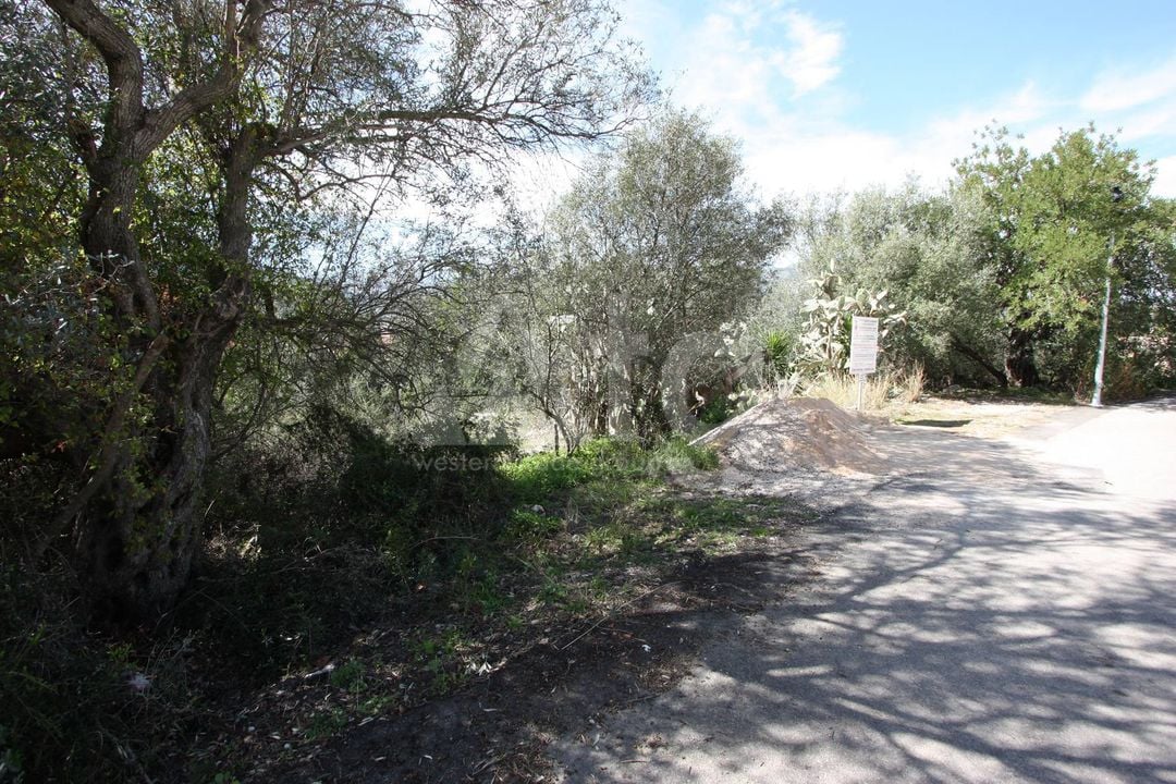  Pozemek v Orba- PGP70403 - Foto - 11