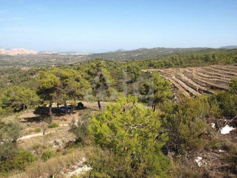  Pozemek v Vall de Alcala- PGP70405 - Foto - 2