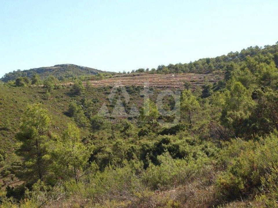  Pozemek v Vall de Alcala- PGP70405 - Foto - 7