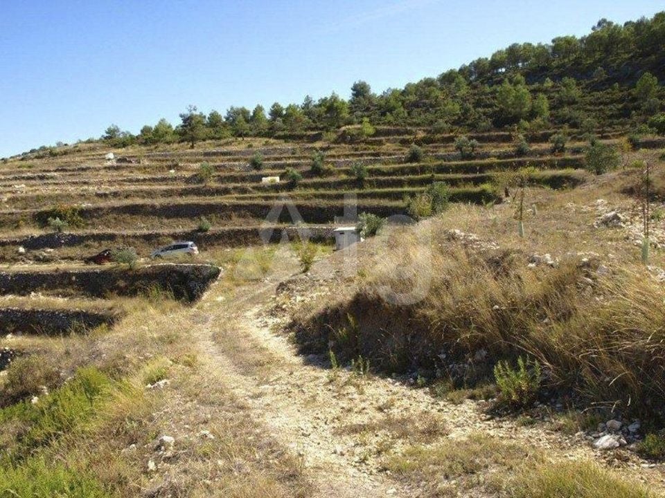  Pozemek v Vall de Alcala- PGP70405 - Foto - 8