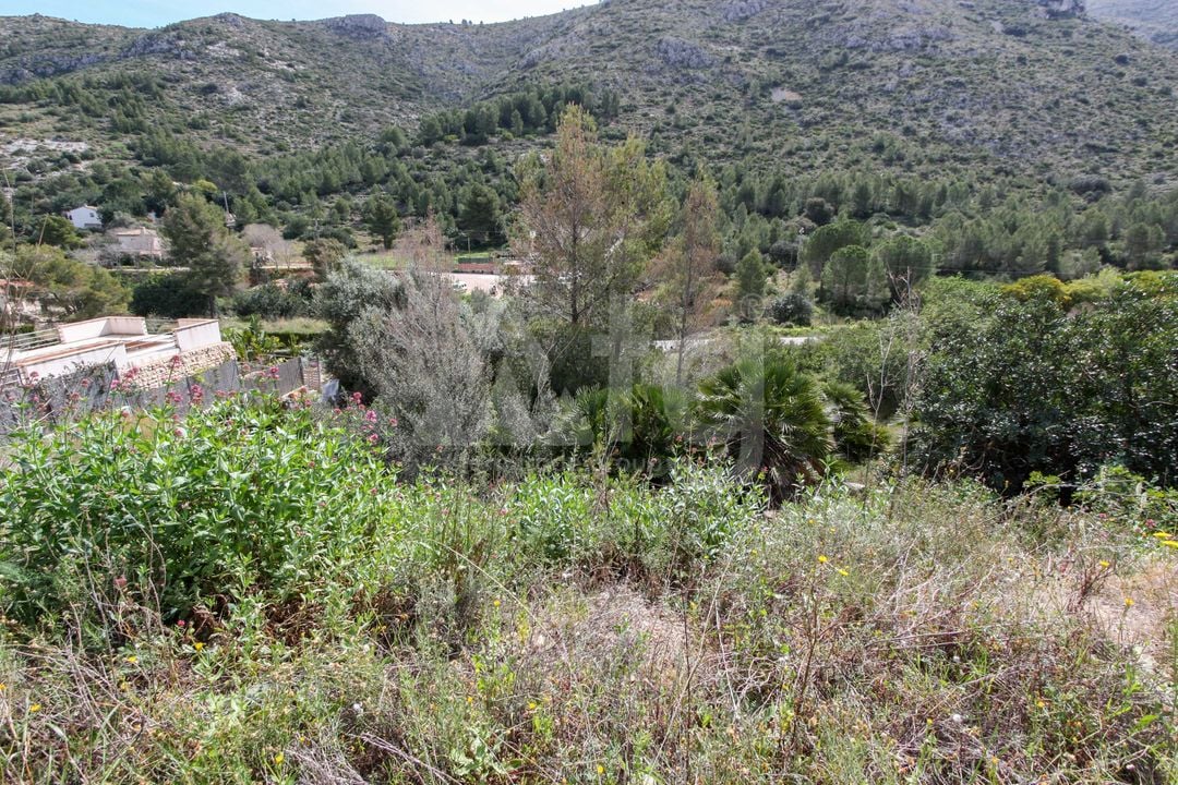  Pozemek v Pedreguer- PGP70414 - Foto - 2