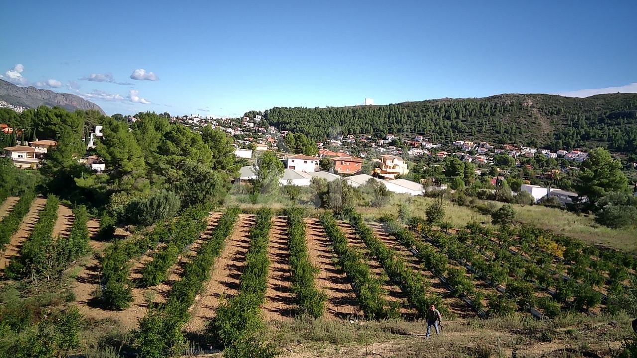 Pozemek v Orba- PGP70416 - Foto - 2