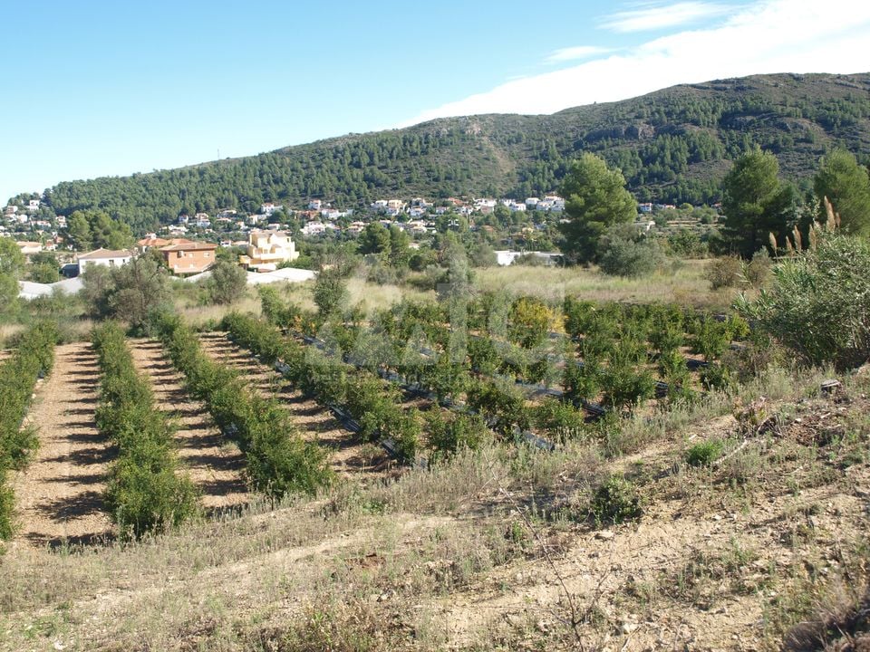  Pozemek v Orba- PGP70416 - Foto - 9
