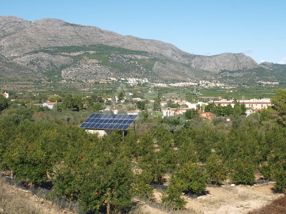  Pozemek v Orba- PGP70416 - Foto - 10