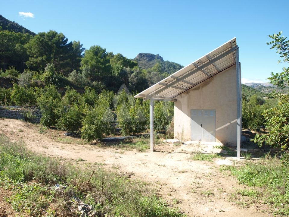  Pozemek v Orba- PGP70416 - Foto - 11