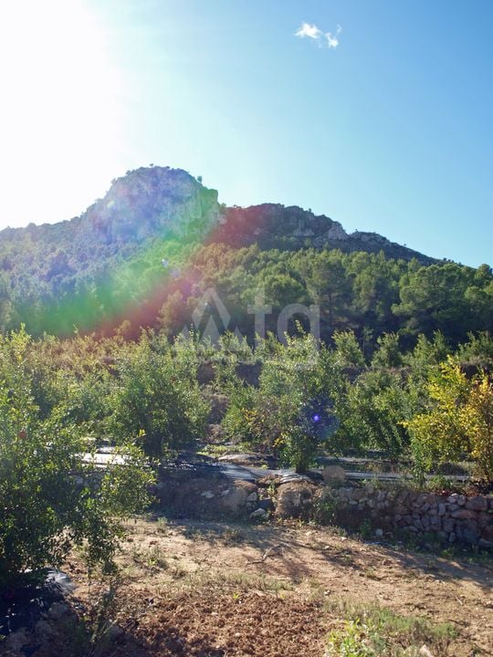  Pozemek v Orba- PGP70416 - Foto - 12
