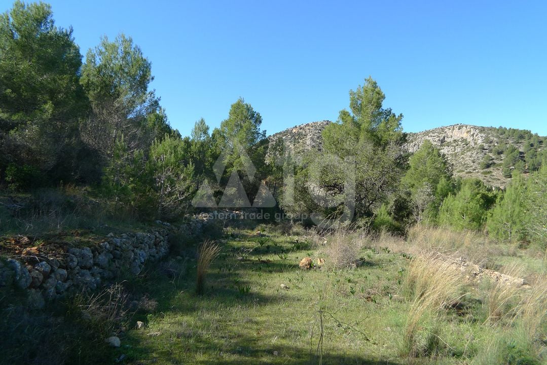 Terrain de  à Jalón- PGP131686 - Photo - 3