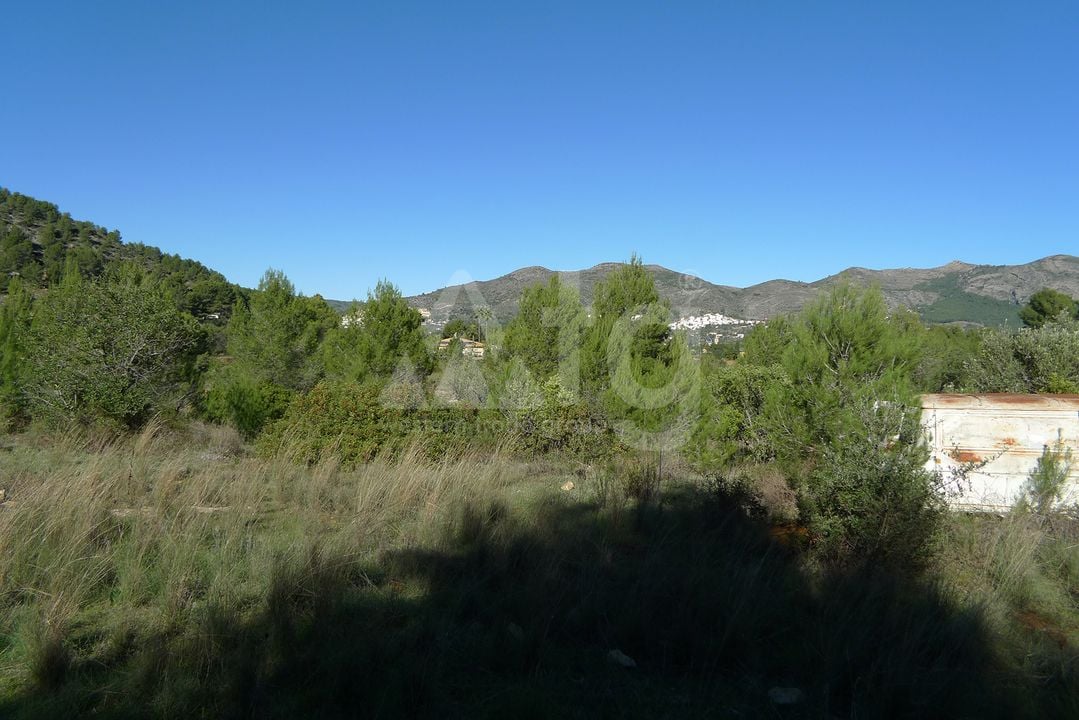 Terrain de  à Jalón- PGP131686 - Photo - 2