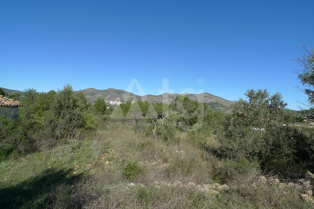 Terrain de  à Jalón- PGP131686 - Photo - 7
