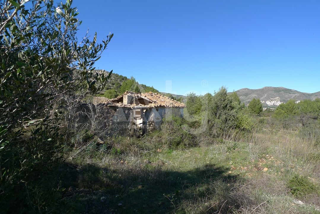 Terrain de  à Jalón- PGP131686 - Photo - 6