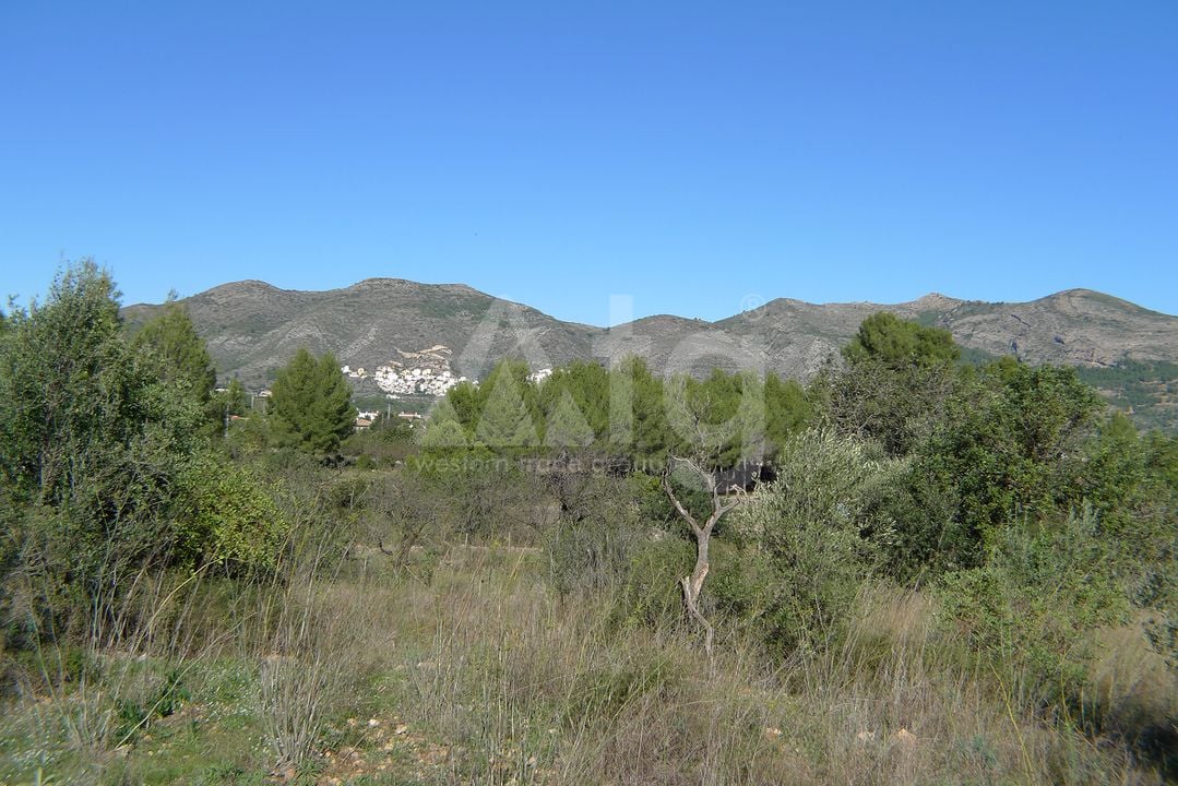 Terrain de  à Jalón- PGP131686 - Photo - 8