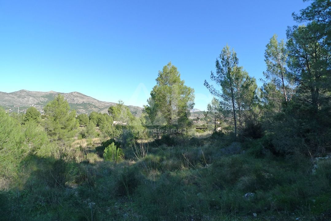 Terrain de  à Jalón- PGP131686 - Photo - 9
